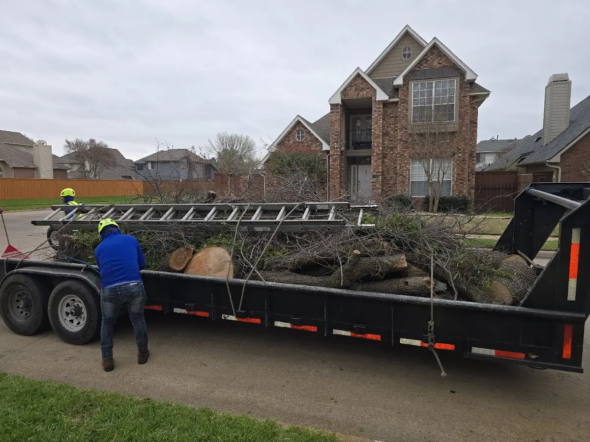 Expert Lot Clearing with proper safety equipment in Moxahala